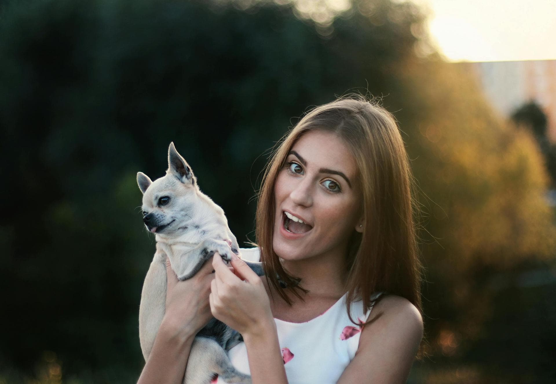 Dog & Cat Vets in Allentown