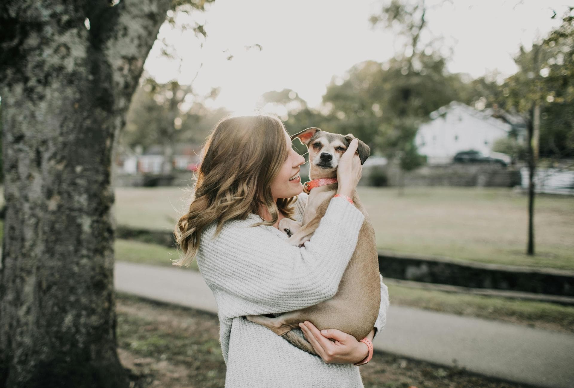 Dog & Cat Vets in Allentown